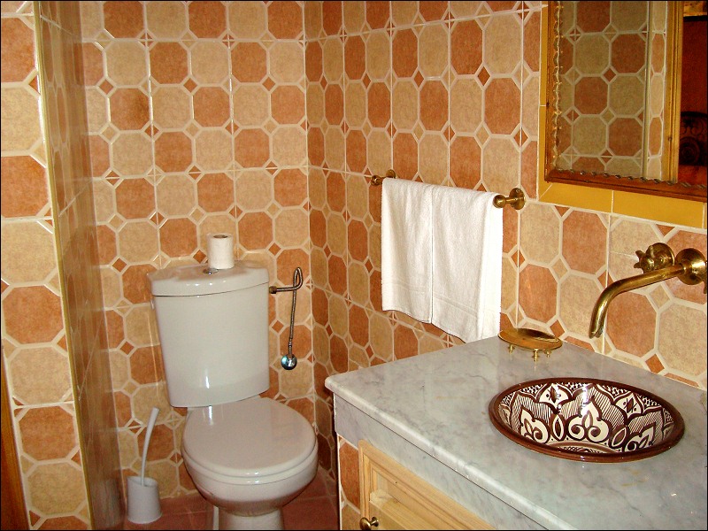 hotes_026.jpg