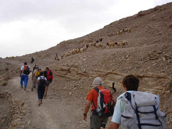 activites-030.jpg