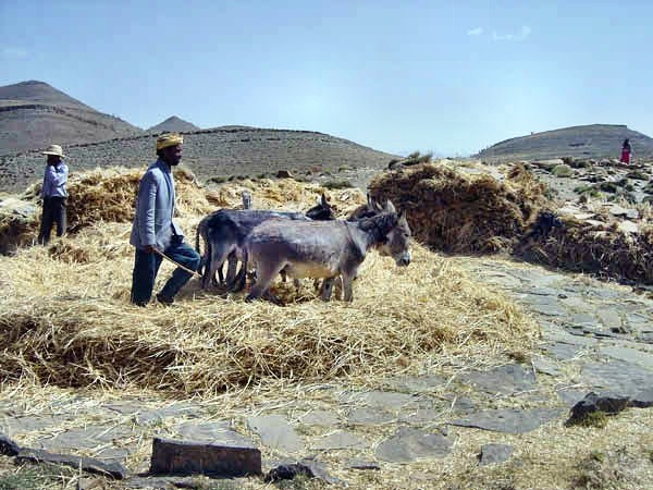vallee-001.jpg