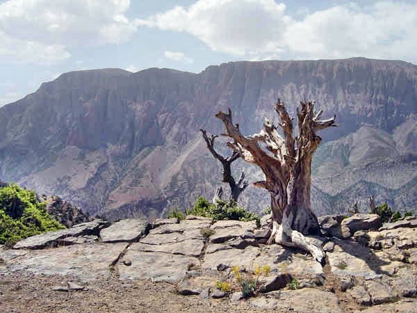 vallee-002.jpg