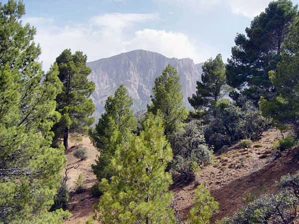 vallee-010.jpg