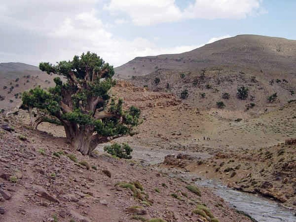 vallee-048.jpg